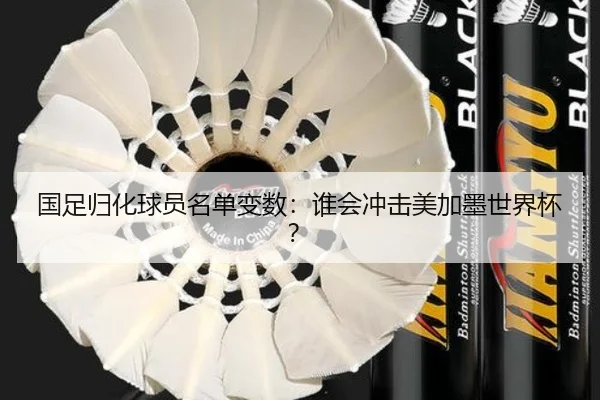 国足归化球员名单变数：谁会冲击美加墨世界杯？