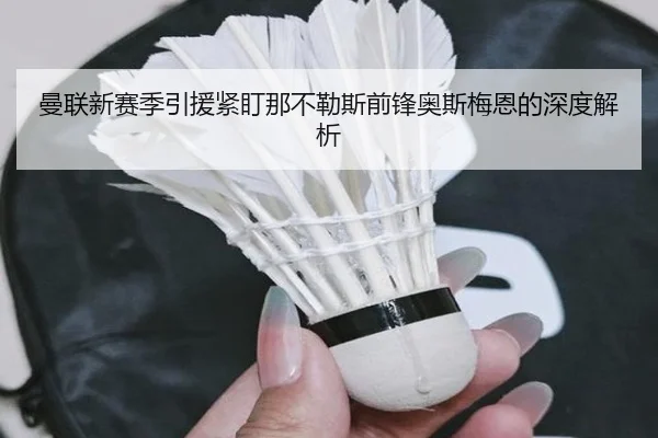 曼联新赛季引援紧盯那不勒斯前锋奥斯梅恩的深度解析
